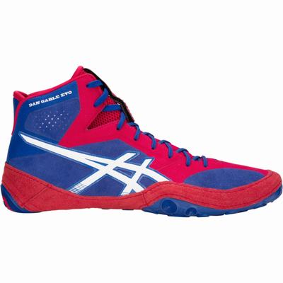 Asics Dan Gable Evo - Miesten Painikengät - Sininen/Valkoinen